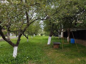 Фото номера Дом для отпуска Дома для отпуска Casa Bunicilor г. Colonia Şase Martie 25